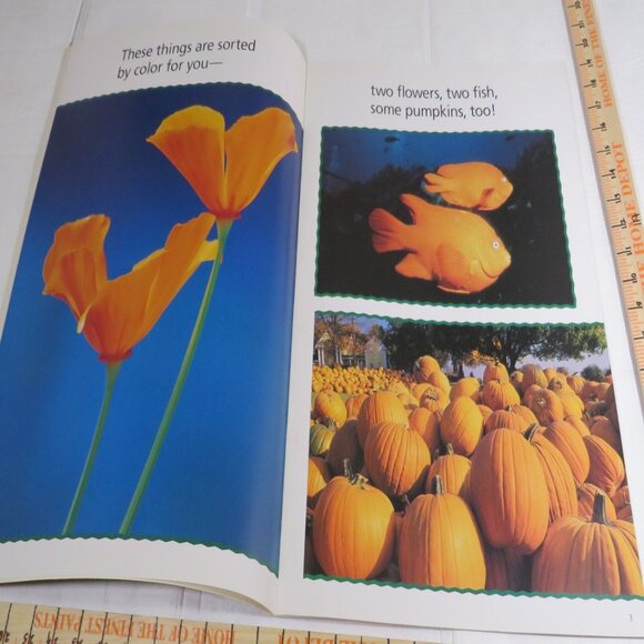 Sort It Out BIG BOOK (almost 2 feet tall) with teacher pages CLASSROOM SIZE - Picture 3 of 16